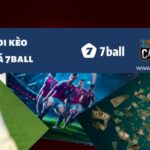 Tìm hiểu mẹo soi kèo bóng đá 7ball