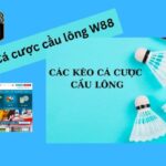 Cầu lông W88