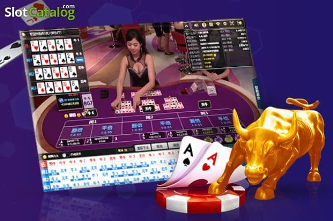 Bull bull casino